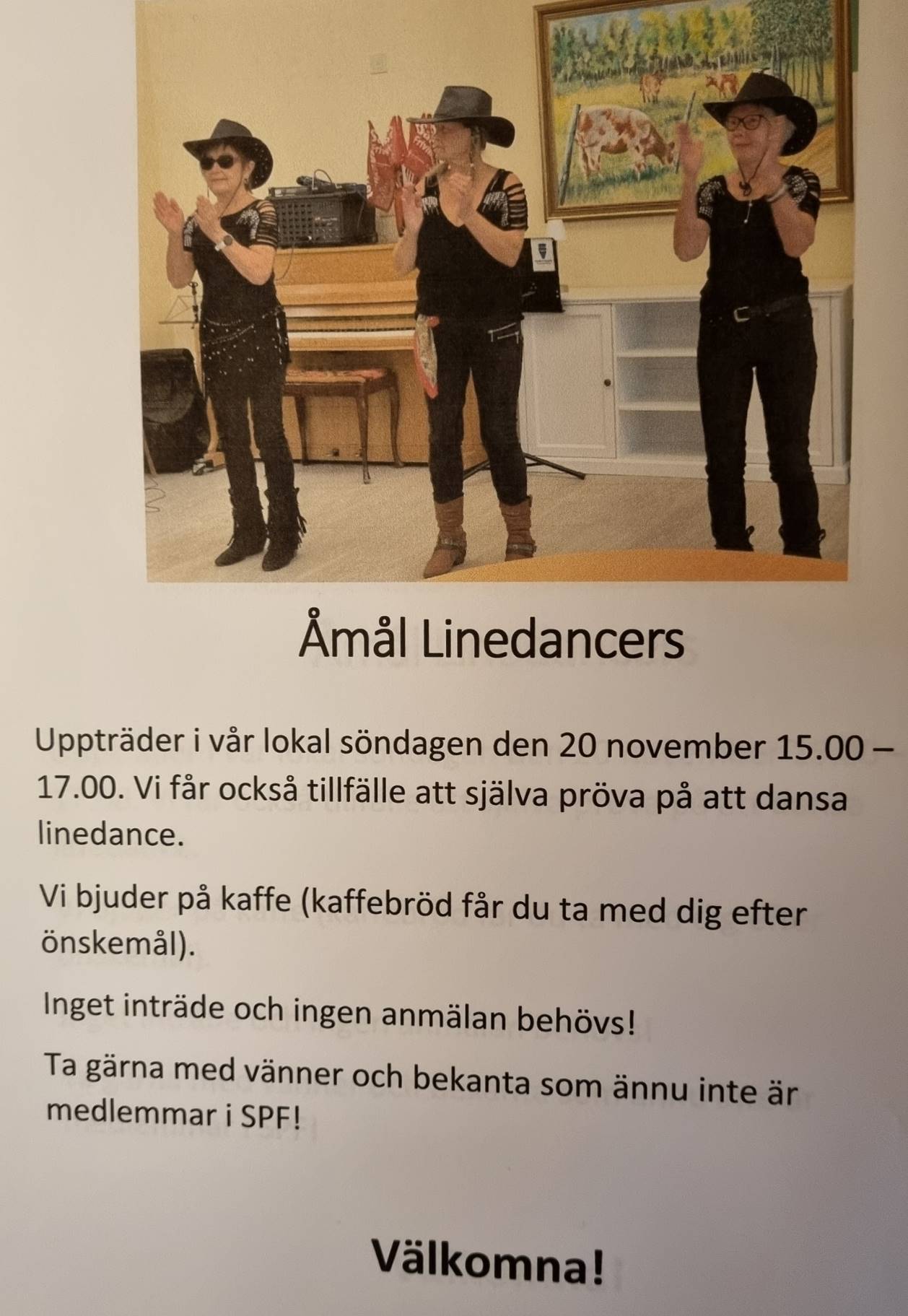 Åmåls Linedancers.jpg
