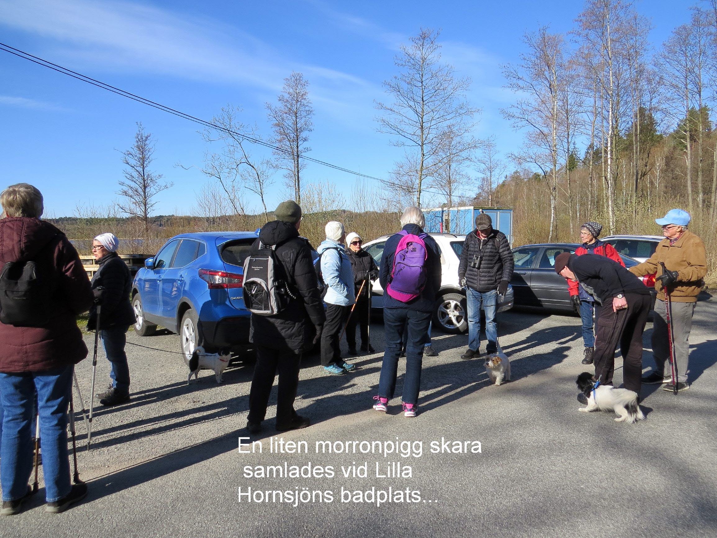 Spf Seniorerna Promenad Langaremossen